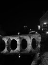 IMG_7987.jpeg