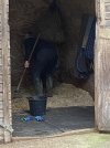 IMG_0077.jpeg