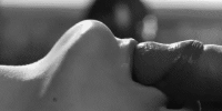 IMG_5969.gif