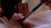 IMG_5978.gif