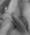 IMG_6013.jpeg