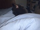 IMG_1213.jpeg