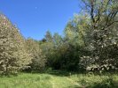 IMG_2269.jpeg