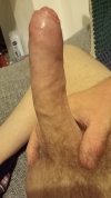 IMG20260502035540.jpg
