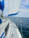 IMG_20260523_133034.jpg