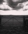 IMG_6948.jpeg