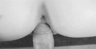 IMG_6079.gif