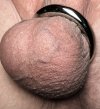 IMG_8712.jpeg