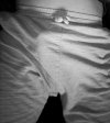 IMG_9636.jpeg