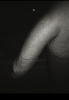 Capture+_2020-01-03-11-20-20-1.png