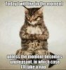1-freestyle-list-photo-u2-1.jpg