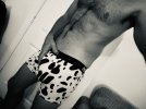 IMG_9448.jpeg