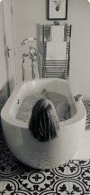 IMG_2762.jpeg