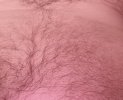 20260712_092959.jpg
