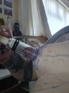 suckerpullingclose.jpg