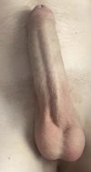 IMG_4276.jpeg