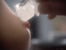 IMG_4538.gif