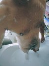 DSC_0691~2.JPG