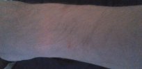 WIN_20260809_19_01_30_Pro.jpg