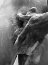 IMG_1186.jpeg