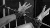 IMG_0678.gif