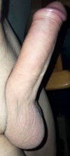 IMG_3411.jpeg