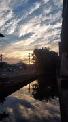 20260822_053901.jpg