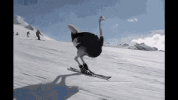 tenor-2368995550.gif