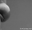 user45111426_2ea38072231a.gif