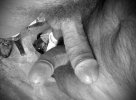 IMG_9100.jpeg
