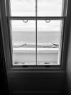 IMG_7903.jpeg
