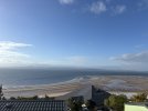 IMG_0022.jpeg