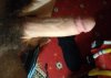 IMG_20200117_003354_2.jpg