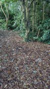 PXL_20261022_075349868.jpg