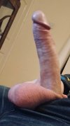 IMG_3527.jpeg