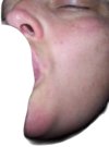 thumbnail.jpeg