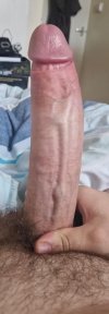 IMG_3577.jpeg