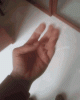 tenor.gif