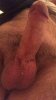 upload_2020-1-30_12-48-29.jpeg