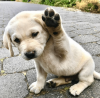 high-five-happy-2018-30126906-1.png