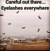 FB_IMG_1581268458563.jpg