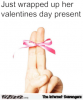 thumb_just-wrapped-up-her-valentines-day-present-the-intemet-scavengers-53634534.png