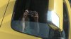 E999ABF5-FFE9-432F-8D5D-927EEB7A1295.jpeg