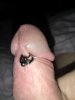 IMG_20200216_012828.jpg