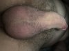 A3A0CBC8-5B6B-41FE-B5C0-BF477673AAC6.jpeg