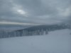 IMG_20200222_093117.jpg