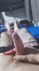 received_479302472765643.jpeg