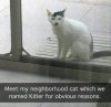 FB_IMG_1581976867516.jpg