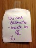 IMG_5375.jpeg