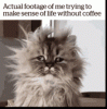 FE628212-73F8-46A8-B6EB-FB5FA899E156.gif